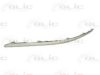 ROVER DPR100890MMM Trim/Protective Strip, bumper